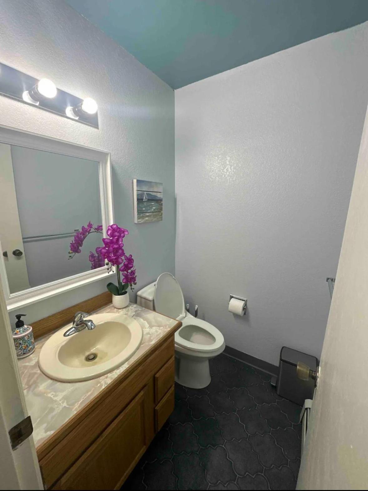 Hidden Lakefront Villa 费尔班克斯 外观 照片